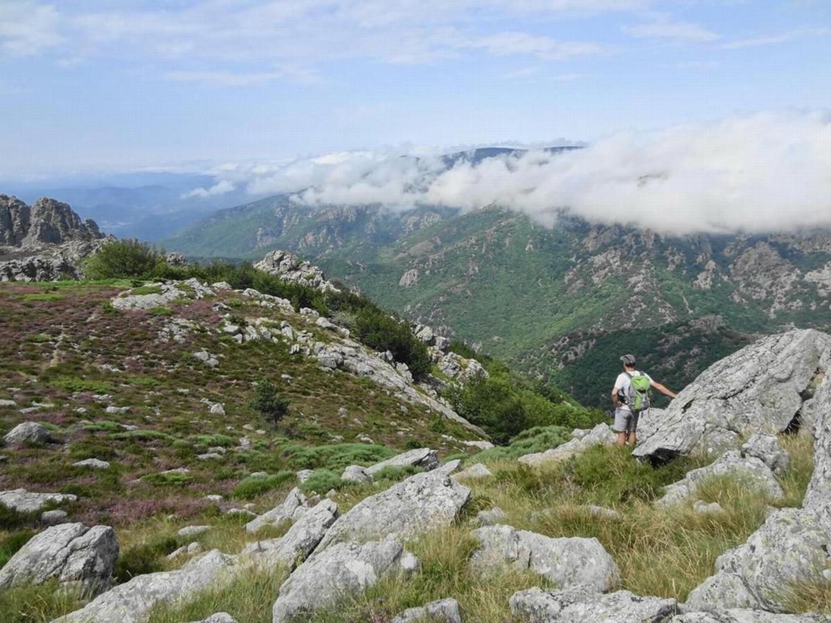 Villa Les Martinets - Voie Verte Passa Pais-Gorges d'Héric-Massif du Caroux-Chambre d'hôte Le Poujol-sur-Orb Esterno foto