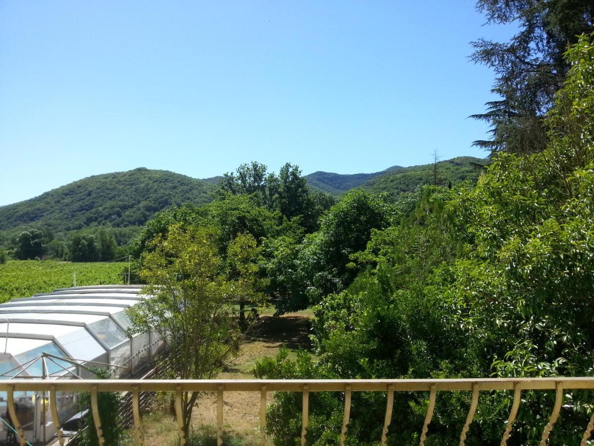 Villa Les Martinets - Voie Verte Passa Pais-Gorges d'Héric-Massif du Caroux-Chambre d'hôte Le Poujol-sur-Orb Esterno foto