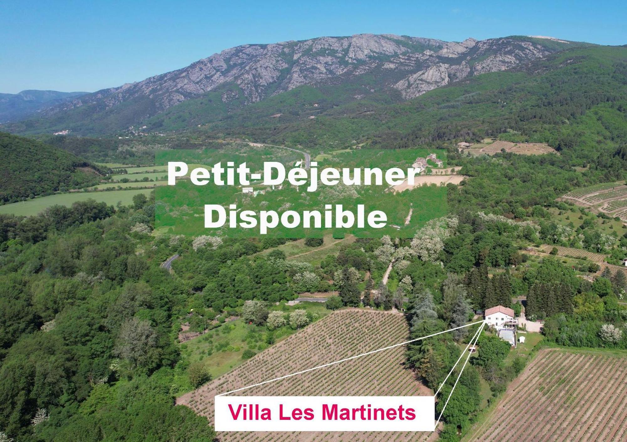 Villa Les Martinets - Voie Verte Passa Pais-Gorges d'Héric-Massif du Caroux-Chambre d'hôte Le Poujol-sur-Orb Esterno foto